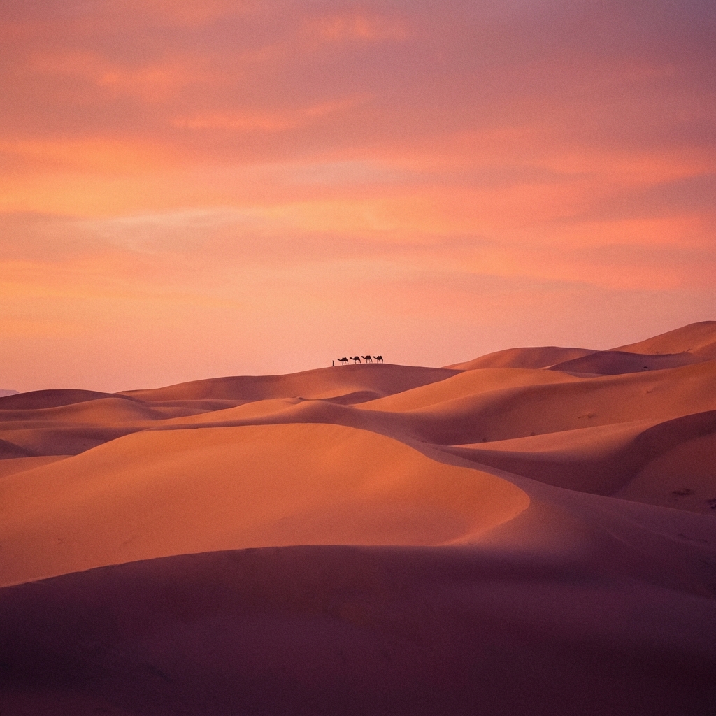 Sahara Desert